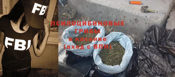 прущие крисы Каменногорск
