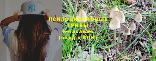 экстази Каменка