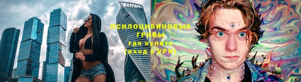 экстази Каменка