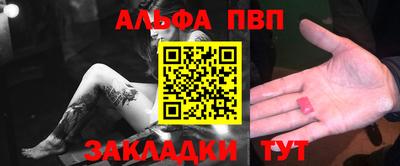 стафф Донской