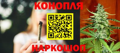 стафф Донской