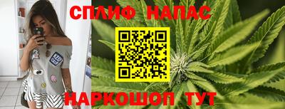 mdma Дубна