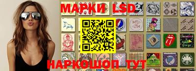 стафф Донской