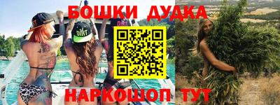 стафф Донской