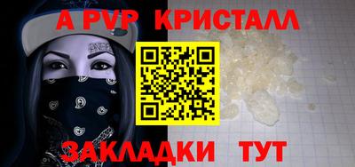 стафф Донской