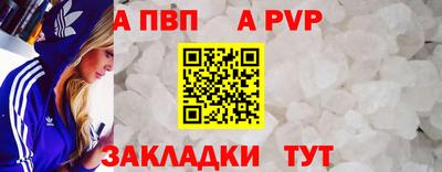 стафф Донской