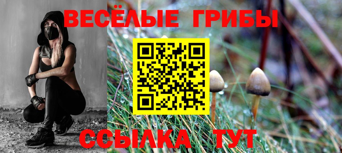 Псилоцибиновые грибы Psilocybe Подольск