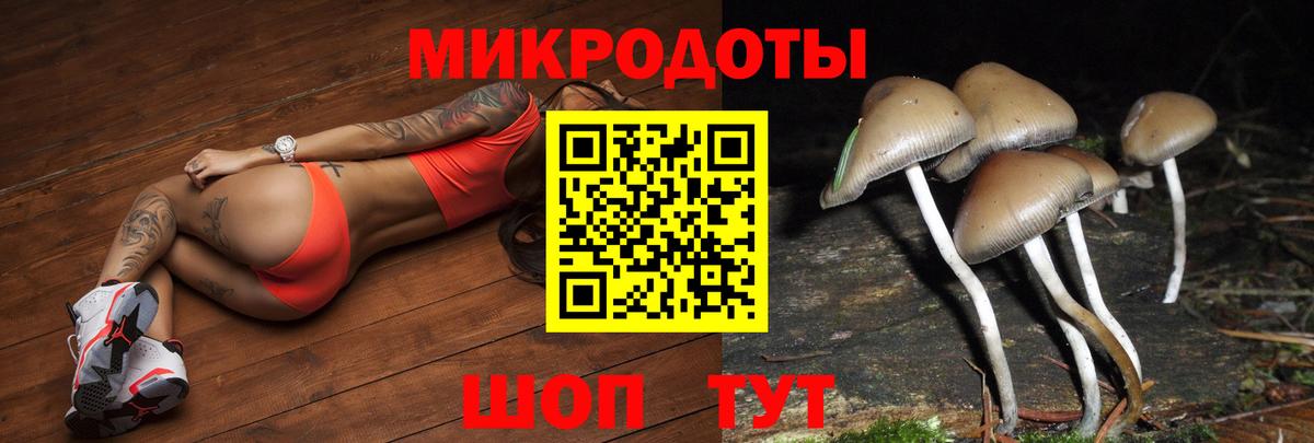 Подольск  Галлюциногенные грибы ЛСД  Вход с VPN 